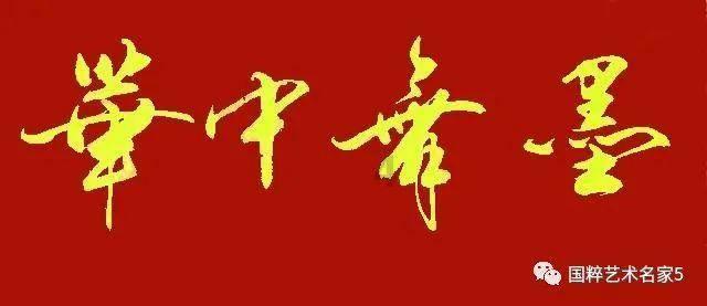 央媒、省媒高频聚焦！龙岩这场活动火“出圈”啦~